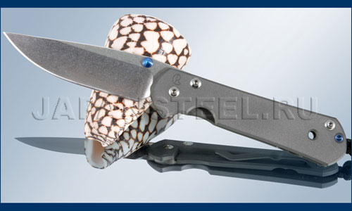 Нож складной Chris Reeve Sebenza 21 small ― Интернет-магазин уникальных ножей и мечей